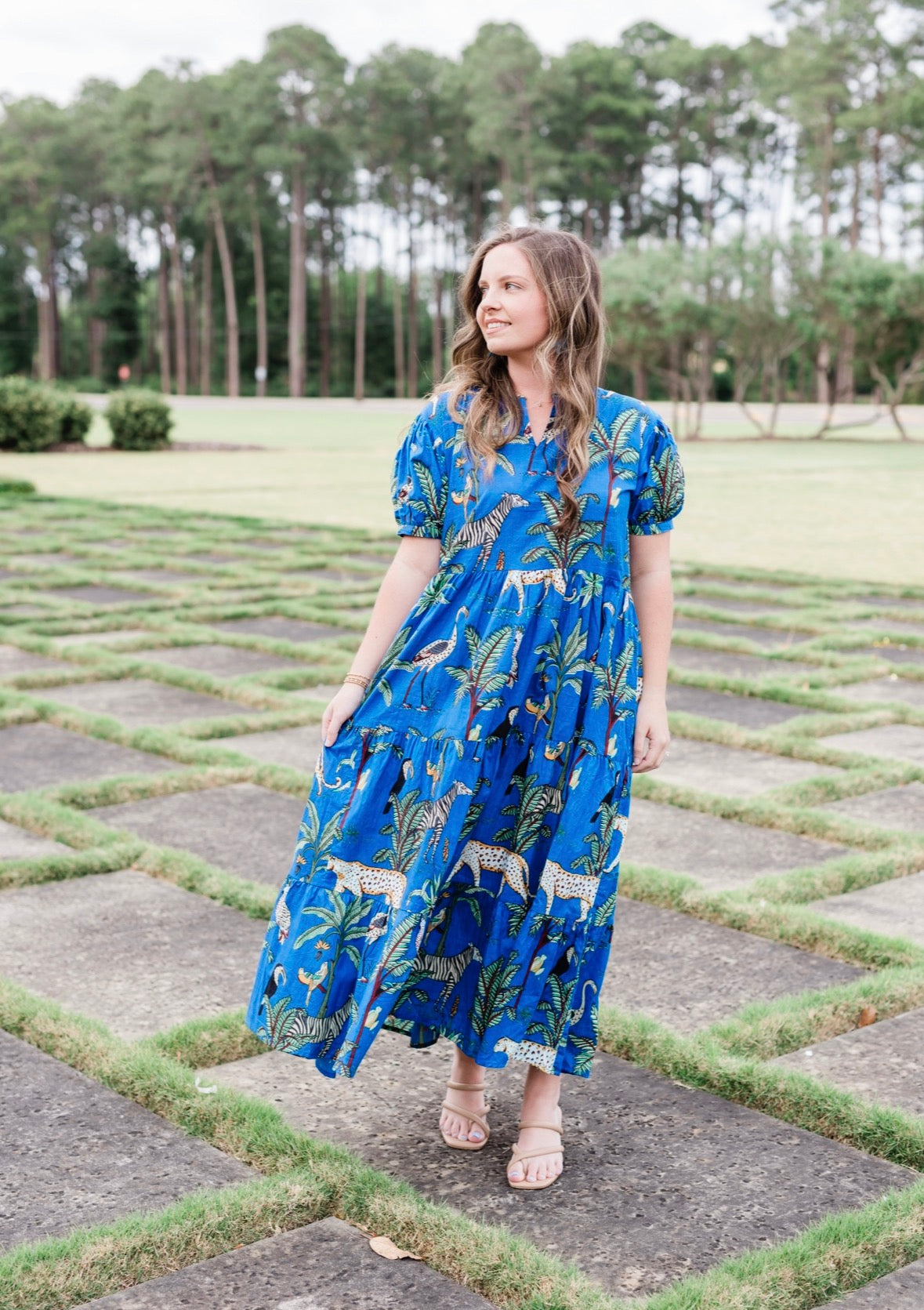 Blue Safari maxi dress